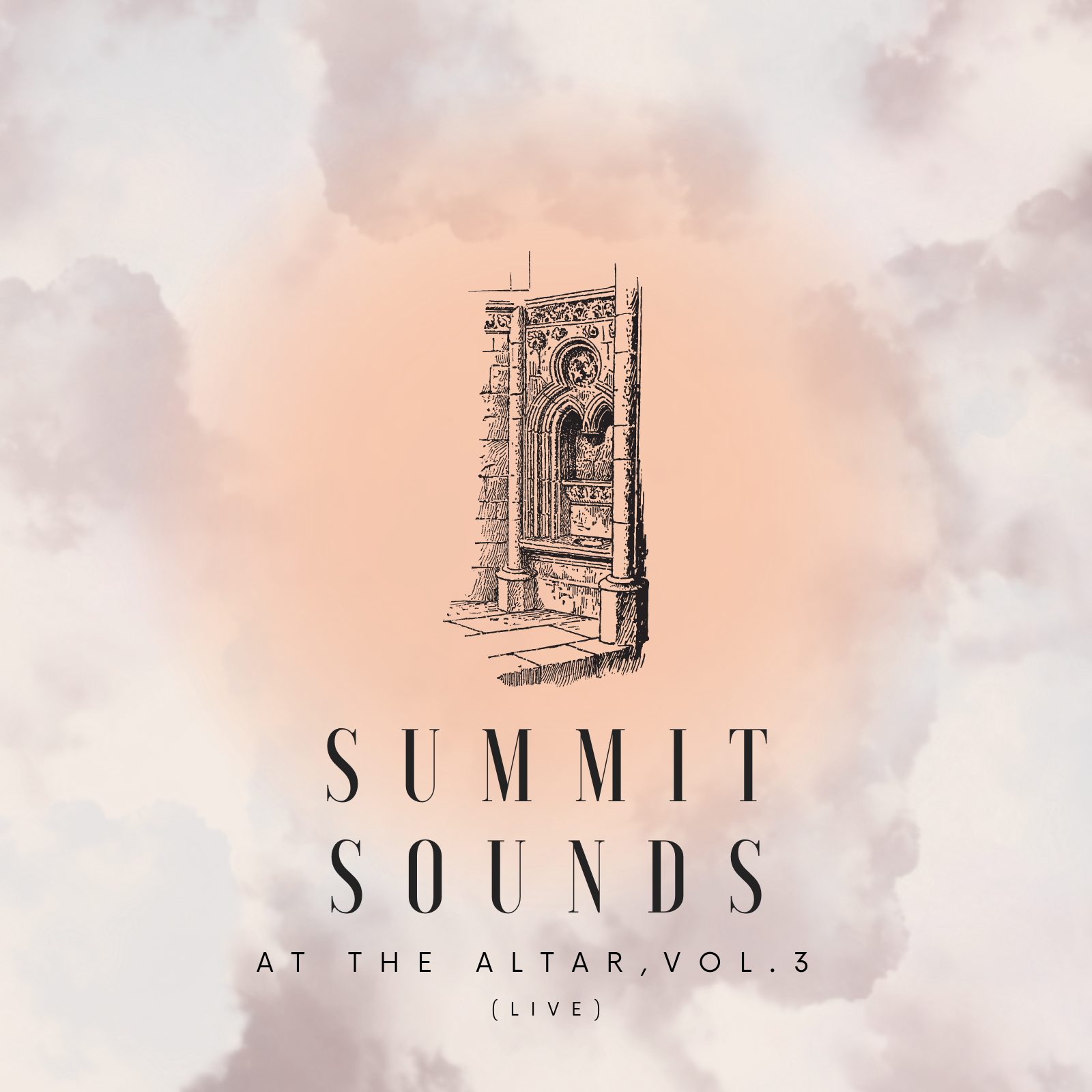 レコード　12inch　SUMMIT / Theme Song single La Danza - Single by John Summit | Spotify